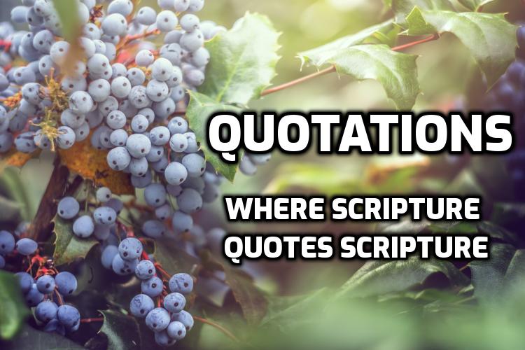 Wednesday in the Word Scripture Quotation Library