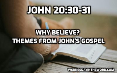 24 Why Believe? Themes from the Gospel of John’s Final Chapters