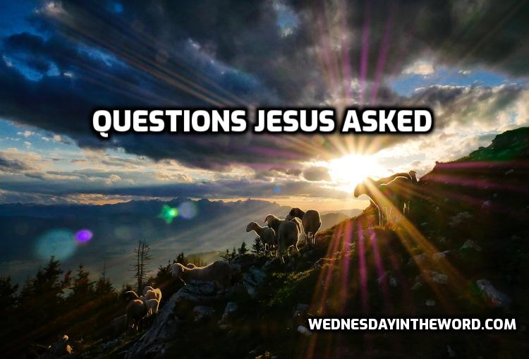 Questions Jesus Asked